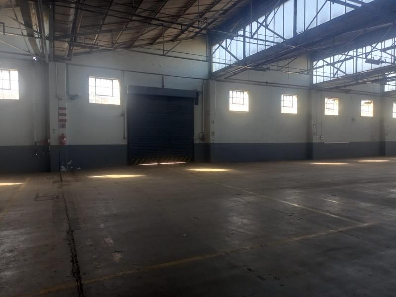 To Let commercial Property for Rent in North End Eastern Cape